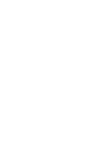 Executive Visions